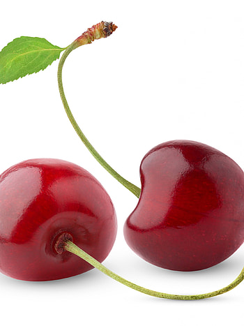 Red sweet cherry, , Blossoming beauty, Japanese inspiration HD phone wallpaper