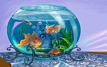 Fish in a bowl, blue, wet, CGI, abstract, pretty, , fish, bowl, water HD wallpaper