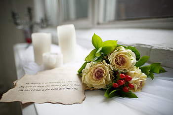 soft, flowers, abstract, graphy HD wallpaper
