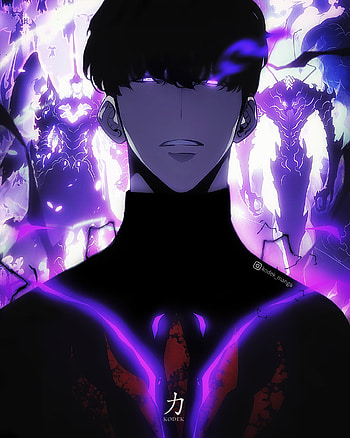 SUNG JIN WOO, shadow, solo, leveling, onepiece, monarch, naruto, dragonball, manga, manwha, anime HD phone wallpaper