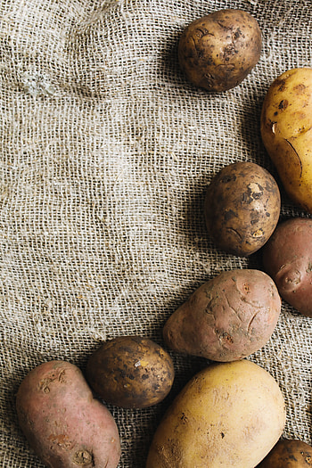 Best potato , Royalty- , Pexels stock , Wide range of potato HD phone wallpaper