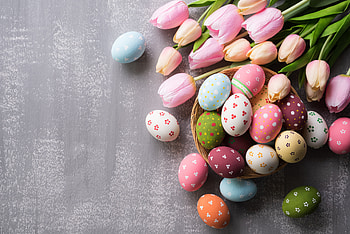 Easter Blossom: Holiday Egg, easter egg, holiday, Easter HD wallpaper