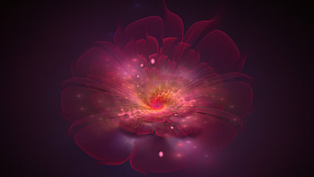Dream Flower , artist, artwork, digital-art, deviantart HD wallpaper