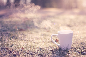 Food, Coffee, Macro, Minimalism HD wallpaper