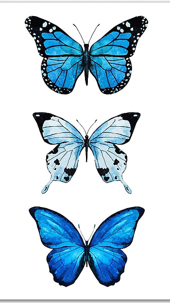 Blue Butterfly, Beautiful, Aesthetic HD phone wallpaper