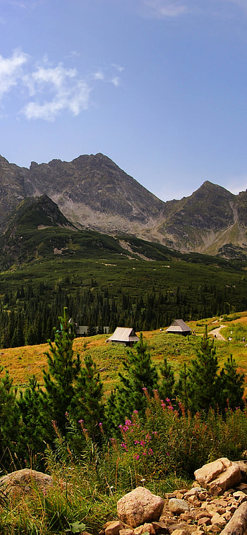 Hala Gasienicowa, Poland HD phone wallpaper