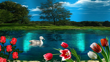 Peaceful Place, blue, pretty, peaceful, flowers, lake HD wallpaper