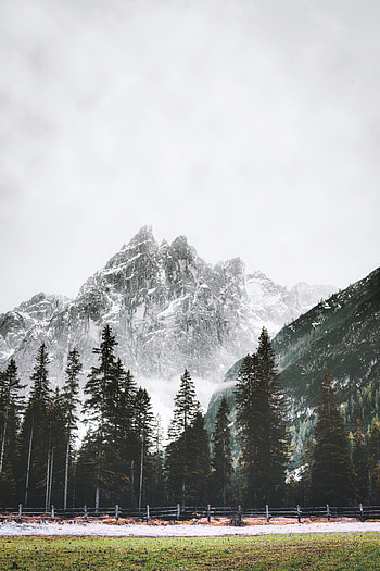 Landscape, Nature, Trees, Snow, Mountain, Vertex, Top HD phone wallpaper