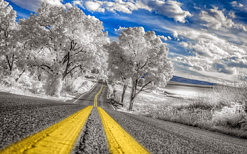Winter Road, snow, landscape, clouds, trees, sky HD wallpaper