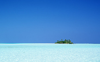 Landscape, Sea, Palms HD wallpaper