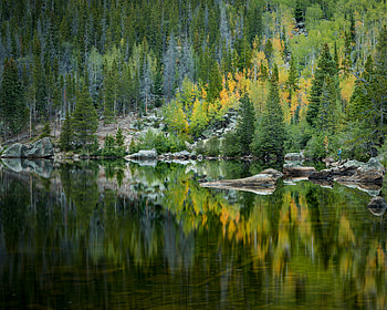 Nature, Trees, Lake, Reflection, Forest HD wallpaper