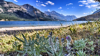 Waterton Lakes NP, Alberta, clouds, sky, plants, mountains, canada HD wallpaper