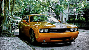 Cars Dodge Challenger SRT muscle car | | 335633 | UP HD wallpaper
