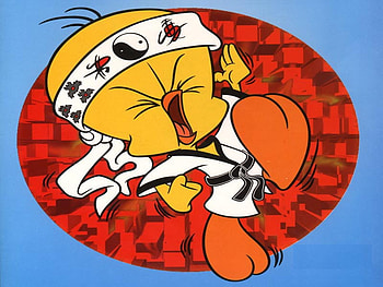 Kung Foo tweety, karate, martial arts, tweety HD wallpaper
