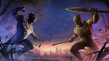 Black Panther And Erik Killmonger Marvel Contest Of Champions, marvel-contest-of-champions, games, marvel, black-panther HD wallpaper