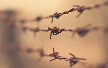 Macro, Glare, Fence, Plexus, Rust HD wallpaper