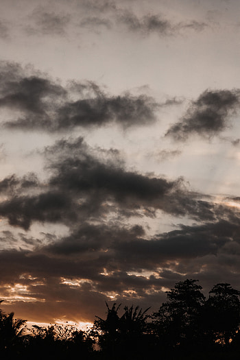 Nature, Trees, Sunset, Twilight, Clouds, Dark, Dusk HD phone wallpaper