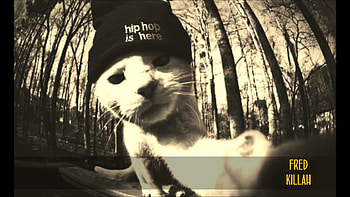 Da bAd CaT 