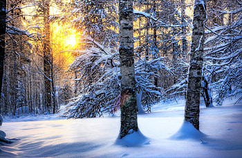 winter s - www. HD wallpaper