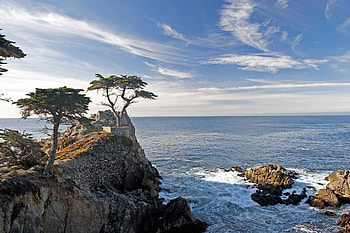 Cypress Tree, Cliff, Body of water, Lone cypress HD wallpaper