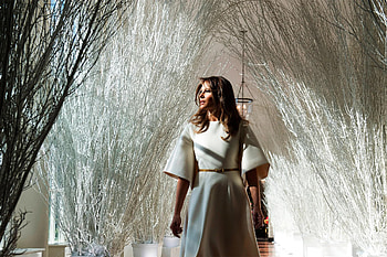 2017 White House Christmas decorations, Melania Trump HD wallpaper