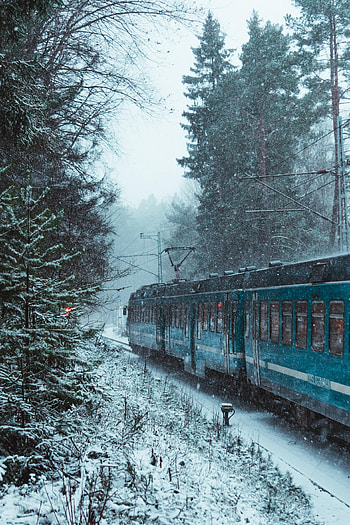 Winter, Snow, Miscellanea, Miscellaneous, Forest, Train HD phone wallpaper