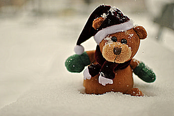 Snow, Miscellanea, Miscellaneous, Bear, Plush HD wallpaper