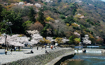 People, Nature, Vertex, Top, Park, Stroll HD wallpaper