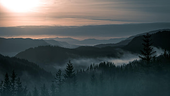 Aesthetic Forest, Forest Aesthetic Tumblr HD wallpaper
