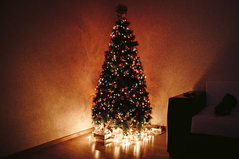 Elegant Christmas tree with vibrant decorations and glowing lights in a cozy indoor setting. HD wallpaper