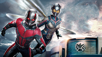 Ant-Man and the Wasp HD wallpaper