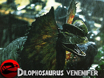 DILOPHASAURUS, JURASSIC PARK, DINO, MOVIE HD wallpaper
