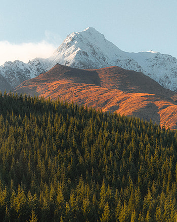 Nature, Trees, Mountains, Vertex, Top, Fir, Spruce, Snow Covered, Snowbound HD phone wallpaper