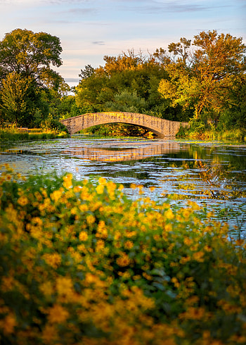 Nature, Rivers, Trees, Autumn, Bush, Bridge HD phone wallpaper