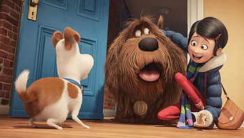 The Secret Life of Pets (2022) movie HD wallpaper