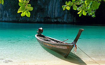 Nature Sunshine, nature, sunshine HD wallpaper