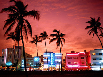 Landscape, Cities, Palms HD wallpaper