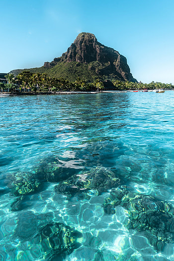 Mauritius Island, Swim with dolphins, Vitamin sea travel, Caribbean escape HD phone wallpaper