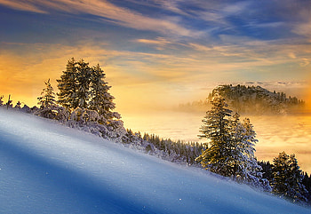 the gold, winter, white, sky, mountains, dream, sunset, sunrise, tree HD wallpaper