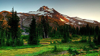 Landscape, Nature, Trees, Mountains, Ate HD wallpaper