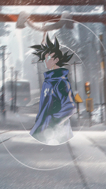 Goku, Goku, Anime, Dragon Ball HD phone wallpaper