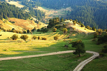 Rhodopy, light, field, green, bulgaria, trees, sky, , mountain HD wallpaper