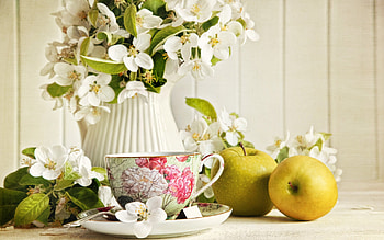 Plants, Flowers, Apples, Cups, Bouquets, Still Life HD wallpaper