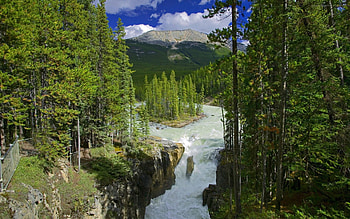 Nature, Rivers, Trees, Forest, Greens, Island, Islet, Reserve HD wallpaper