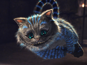 Abstract cat, animal, kitten, abstract, cat, feline HD wallpaper