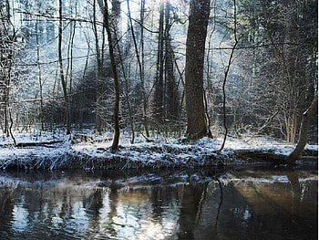 Sun rays at a small river in upper bavaria, rays, river, sun, bavaria HD wallpaper