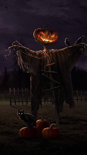 Jack-O-Lantern Scarecrow, jack-o'-lantern, holiday, halloween HD phone wallpaper