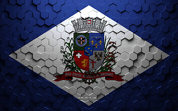 Flag of Joinville, honeycomb art, Joinville hexagons flag, Joinville 3d hexagons art, Joinville flag HD wallpaper