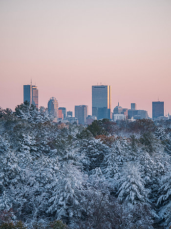 Cities, Trees, Snow, City, Building, View HD phone wallpaper