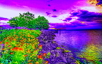 Full Screen HD wallpaper